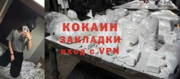 ПСИЛОЦИБИНОВЫЕ ГРИБЫ Богданович