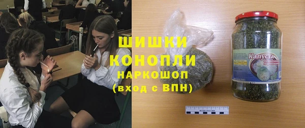 прущие грибы Белоозёрский