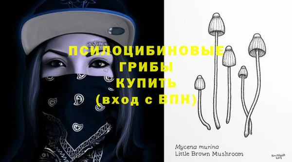 марки nbome Белокуриха