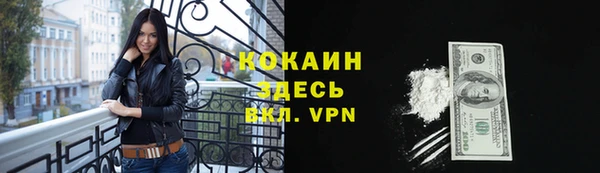 прущие грибы Белоозёрский