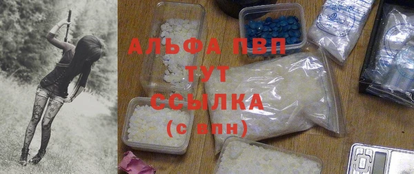 прущие грибы Белоозёрский