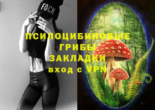 ПСИЛОЦИБИНОВЫЕ ГРИБЫ Богданович