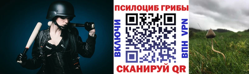 купить наркотик Шахты Псилоцибиновые грибы мухоморы